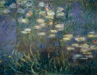 Nenúfares (pormenor) (óleo sobre tela)