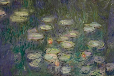 Lírios de água (óleo sobre tela)