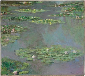 Lírios de Água, 1905