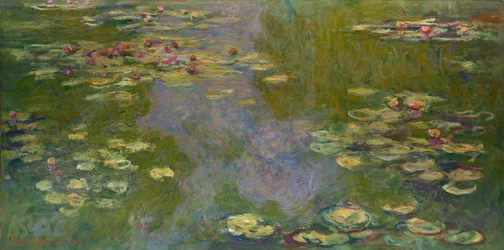 Lírios de água, 1919