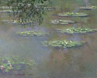 Nenúfares, 1903