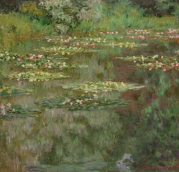 Nenúfares ou Lagoa dos Nenúfares (Nymphéas) 1904 (óleo sobre tela)