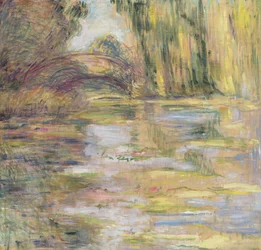 Lagoa de nenúfar: a ponte
