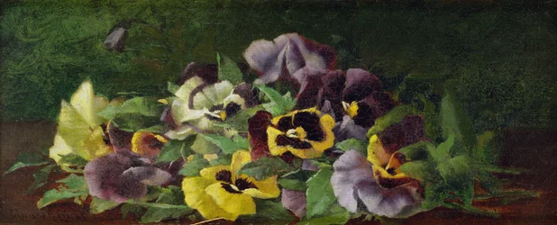 Pansies (óleo sobre tela)