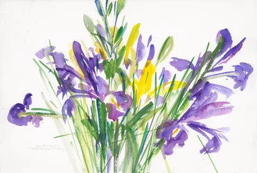 Íris, 1999, (aguarela sobre papel)