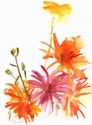 Malmequeres e outras flores, 2004