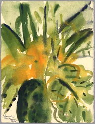 Primroses, 2005 (aguarela)