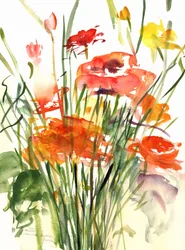 Buttercups, 2001 (aguarela)