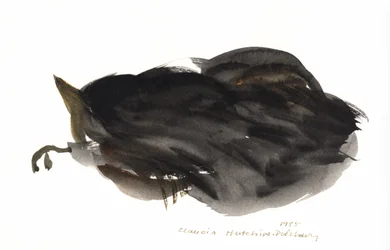 Gato Adormecido, 1985 (aguarela)