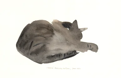 Gato dormindo, 1985 (aquarela)
