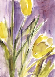 Tulipas, 1987
