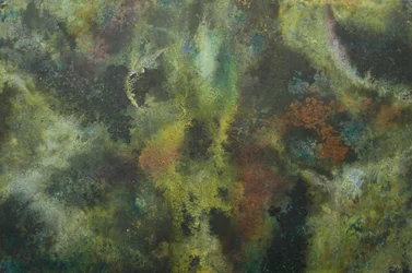 Texturas orgânicas e terrosas