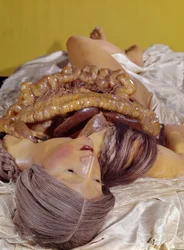 Modelo de uma mulher eviscerada (cera)