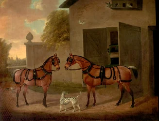 Carruagens, Cavalos e Cães