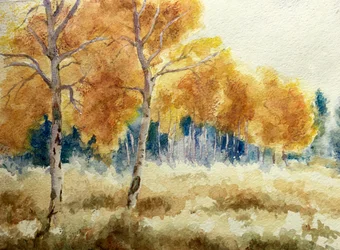 Aspens de outono nos Tetons, 2011 (aguarela)