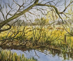 Water Meadows, Kintbury, no início da tarde de maio