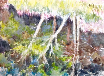 Reflexos do bosque, Silver Lake, 2017 (aguarela)