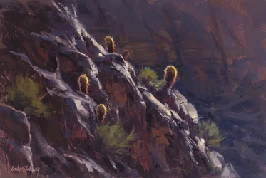 Encostada dos Cactos Dourados