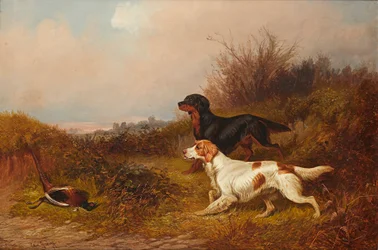 paisagem