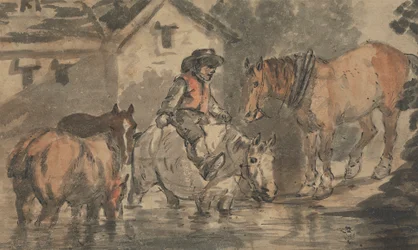 Homem a regar quatro cavalos