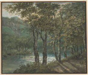 Filtro de luz solar através das árvores ao longo do rio Sihl