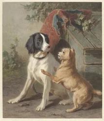 Dois cães a uma caneta