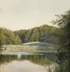 Cisnes na lagoa de Paddington, 1860s (wc no papel)