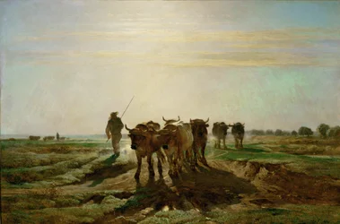Boeufs se rendant au travail - gado a caminhar para o trabalho, de manhã. 1855 ...