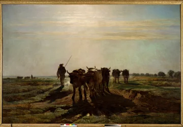 Os bois indo para o arado, efeito matinal Pintura por Constant Troyon (1810-1865) 1855 Sol. 2,6x4 m Paris, Musee d