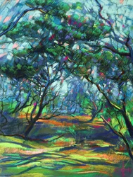 Caminho na floresta salpicado de luz