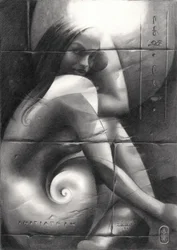 O Enigmático Olhar Espiral