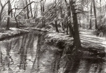 Reflexões sobre o ribeiro da floresta