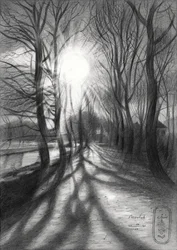 O Caminho da Luz do Inverno