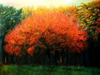 Árvore outonal colorida