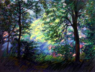 Luz da Floresta Vibrante