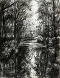 Caminho sinuoso pela floresta