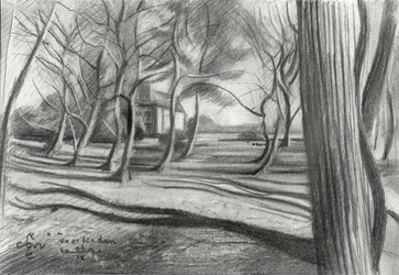 Sombras da floresta de inverno
