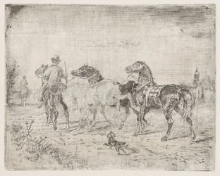 Cavaleiros com cavalos