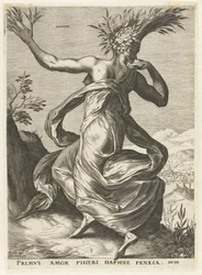Dafne Deusas e Ninfas (título da série)