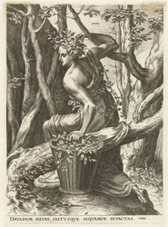 Dryas (título sobre o objecto)
Deusas e ninfas (título da série)