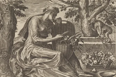 Gosto, de Os Cinco Sentidos, 1561.