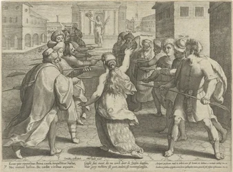 Perigos de litígio
Abusos em litígio (título da série)
Litis Abusus (título da série)