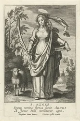 H. Inês Espelho das Virgens Ilustres (título da série)