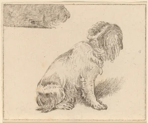 Cão Sentado