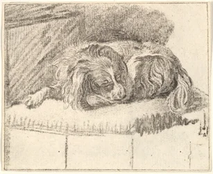 Cão adormecido, 1777.