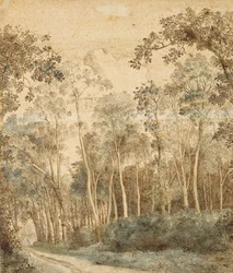 Paisagem arborizada (caneta e tinta marrom e wc no papel)