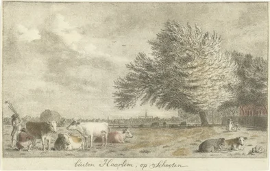 Vacas num prado
fora de Haarlem, op Schooten (título sobre o objecto)