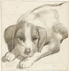 Cão reclinador