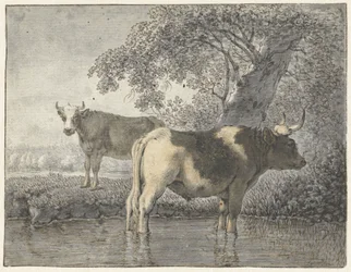 Duas vacas debaixo de uma árvore perto da água
