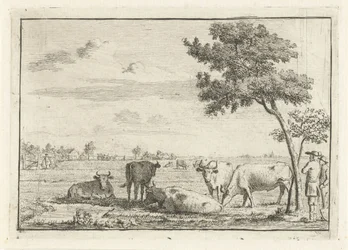 Cinco vacas em um prado